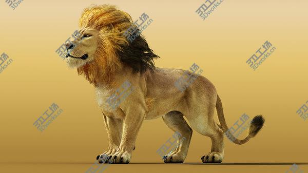images/goods_img/20210312/3D Lion model/2.jpg